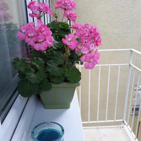 מאקו Zenit Apartman מראה חיצוני תמונה